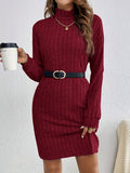 Stylish Turtle Neck Knit Dress - Soft, Elegant, Textured Long Sleeve Design for Spring & Fall, Comfortable Women's Clothing for Everyday Wear