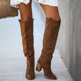 Women Suede Knee High Boots Ladies Solid Pointed Toe Tall Boots Retro Roman High Heels Shoes Female Autumn Winter Long Boot