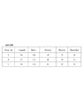 Pbong  Women Elegant Shirt Dress Mesh Sheer Long Sleeve Turn-Down Collar Pleated A-line Mini Dress Autumn Vintage Sexy Clothes