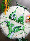 New Printed Split Bikini Swimsuit Sexy Triangle Women Swimsuit Swimsuit