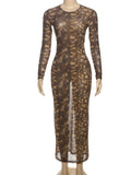 See Through Women Dress Leopard Print Women Thin o-Neck Full Sleeve Summer Midnight Clubwear Party Stretch Maxi Bodycon