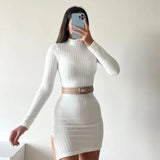 Pbong  Elegant Bodycon Party Dresses Female Women Autumn Black Solid Turtleneck Long Sleeves Sheath Dress Club