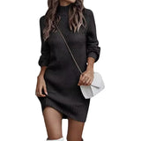 Pbong  Fashionable Long Sleeve Polo/Turtle Neck Sweater Women's Dress Autumn/Winter Pure Color Cross-Border Trade Amazon
