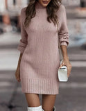 Pbong  Fashionable Long Sleeve Polo/Turtle Neck Sweater Women's Dress Autumn/Winter Pure Color Cross-Border Trade Amazon