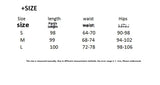 Pbong  Casual Loose-fit Cross-border Women's Pu Leather Pants Autumn Fashionable Straight-leg Low-waist Leisure Ladies Trousers