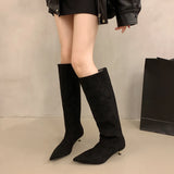 Winter Fashion Suede Long Boots for Women Loe Heel Sexy Boots Versatile High Heel Women's Boots