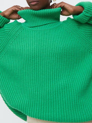 Solid Knitted Women's Turtleneck Sweater Pullovers Female Long Sleeve Top Autumn Winter Soft Ladies Sweaters Jumper