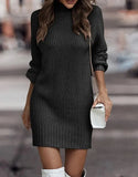 Pbong  Fashionable Long Sleeve Polo/Turtle Neck Sweater Women's Dress Autumn/Winter Pure Color Cross-Border Trade Amazon