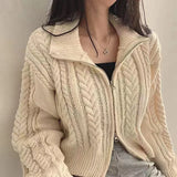Chunky Knit Zip Up Cardigan for Women Zipper Front Long Sleet Sweater Coat Knitwear Crop Sweater Korean Chic Fall Winter Outfit