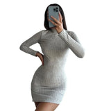 Pbong  Elegant Bodycon Party Dresses Female Women Autumn Black Solid Turtleneck Long Sleeves Sheath Dress Club
