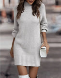 Pbong  Fashionable Long Sleeve Polo/Turtle Neck Sweater Women's Dress Autumn/Winter Pure Color Cross-Border Trade Amazon