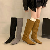 Winter Fashion Suede Long Boots for Women Loe Heel Sexy Boots Versatile High Heel Women's Boots