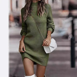 Pbong  Fashionable Long Sleeve Polo/Turtle Neck Sweater Women's Dress Autumn/Winter Pure Color Cross-Border Trade Amazon