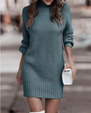 Pbong  Fashionable Long Sleeve Polo/Turtle Neck Sweater Women's Dress Autumn/Winter Pure Color Cross-Border Trade Amazon