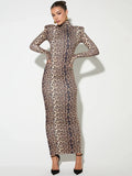 Leopard Print Long Sleeve Sexy Maxi Dress For Women Autumn Winter Fashion Elegant Turtleneck Printed Bodycon Long Dress