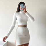 Pbong  Elegant Bodycon Party Dresses Female Women Autumn Black Solid Turtleneck Long Sleeves Sheath Dress Club