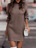 Pbong  Fashionable Long Sleeve Polo/Turtle Neck Sweater Women's Dress Autumn/Winter Pure Color Cross-Border Trade Amazon