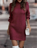 Pbong  Fashionable Long Sleeve Polo/Turtle Neck Sweater Women's Dress Autumn/Winter Pure Color Cross-Border Trade Amazon