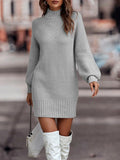 Pbong  Fashionable Long Sleeve Polo/Turtle Neck Sweater Women's Dress Autumn/Winter Pure Color Cross-Border Trade Amazon