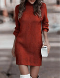 Pbong  Fashionable Long Sleeve Polo/Turtle Neck Sweater Women's Dress Autumn/Winter Pure Color Cross-Border Trade Amazon