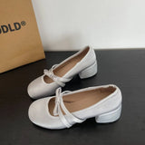 Pbong  Chunky Heel Mary Jane Shoes for Women Pink French Style Spring Autumn Height Increasing Noble Lady Ballet Inspired Single Shoes