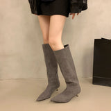 Winter Fashion Suede Long Boots for Women Loe Heel Sexy Boots Versatile High Heel Women's Boots