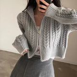 Chunky Knit Zip Up Cardigan for Women Zipper Front Long Sleet Sweater Coat Knitwear Crop Sweater Korean Chic Fall Winter Outfit