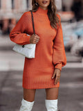 Pbong  Fashionable Long Sleeve Polo/Turtle Neck Sweater Women's Dress Autumn/Winter Pure Color Cross-Border Trade Amazon