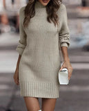 Pbong  Fashionable Long Sleeve Polo/Turtle Neck Sweater Women's Dress Autumn/Winter Pure Color Cross-Border Trade Amazon