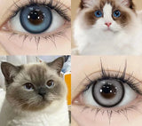 1 Pair Color Contact Lenses for Eyes Big Eye Lenses Blue Contacts Gray Lenses Brown Lenses Yearly Cosmetic Eye Lenses