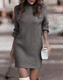 Pbong  Fashionable Long Sleeve Polo/Turtle Neck Sweater Women's Dress Autumn/Winter Pure Color Cross-Border Trade Amazon