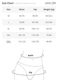 High Waist Briefs Women Seamless Panties Transparent Mesh High Elastic Tummy Control Shapewear Ice Silk Underwear Sexy Lingerie