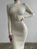 New Autumn Knitted Turtleneck Dress Women Long Sleeve Bodycon Midi Dresses Female Elegant Fashion Solid Color Skinny Dress