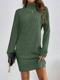 Stylish Turtle Neck Knit Dress - Soft, Elegant, Textured Long Sleeve Design for Spring & Fall, Comfortable Women's Clothing for Everyday Wear