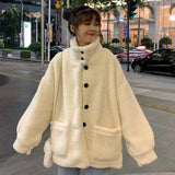 Embroidery Imitation Lambswool zip-up clothes women hoodie Autumn Winter Korean style velvet tops oversize sweatshirt